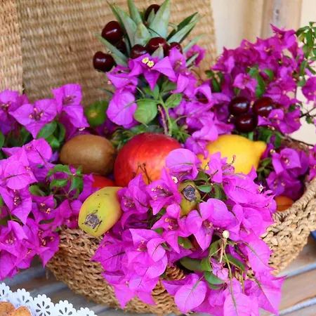 לינה וארוחת בוקר La Rosa Dei Venti