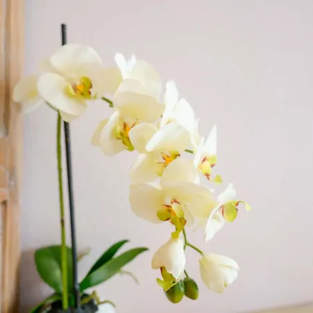 La Rosa Dei Venti Bed & Breakfast *